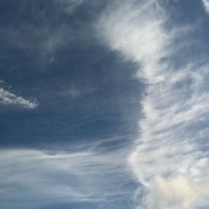 Meet your Posher, Alison